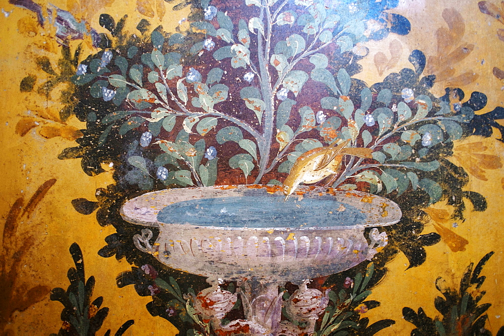 Drinking bird fresco detail in Poppea Sabina's private villa (Villa Oplontis), Oplontis, UNESCO World Heritage Site, Torre Annunziata, Campania, Italy, Europe