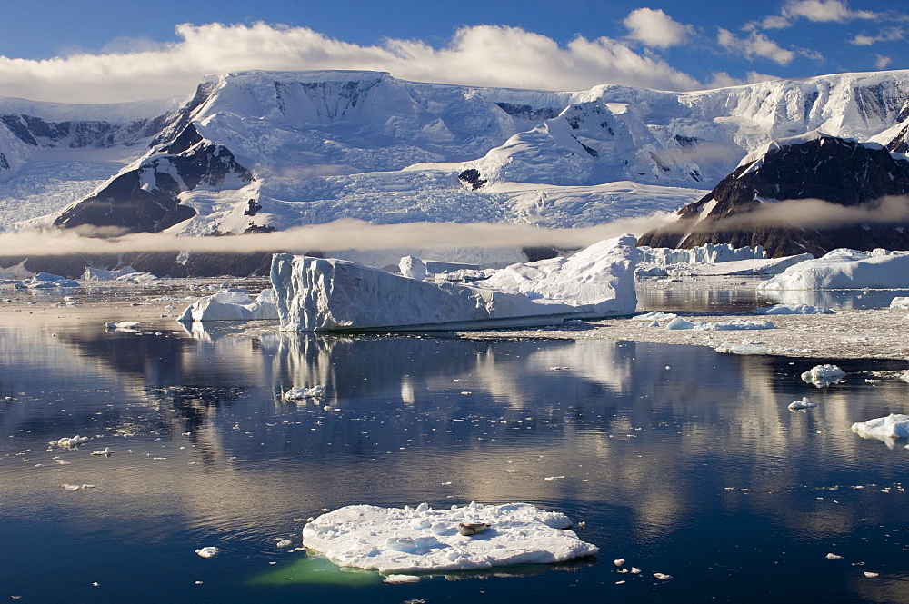 Seal on the small iceberg on foreground, Gerlache Strait, Antarctic Peninsula, Antarctica, Polar Regions