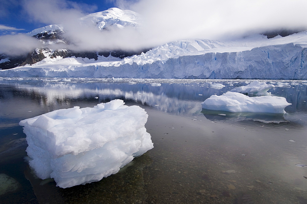 Neko Harbor, Gerlache Strait, Antarctic Peninsula, Antarctica, Polar Regions