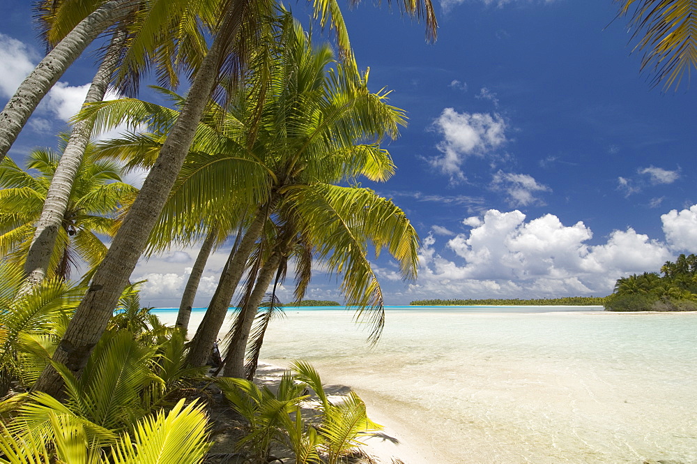 Blue Lagoon, Rangiroa, Tuamotu Archipelago, French Polynesia, Pacific Islands, Pacific