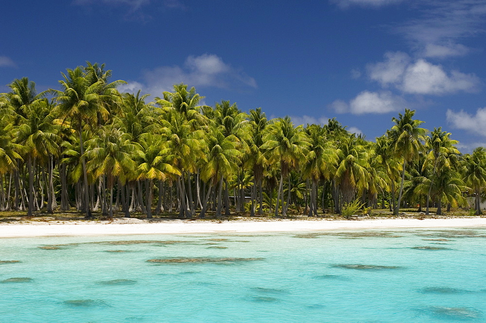 Fakarawa, Tuamotu Archipelago, French Polynesia, Pacific Islands, Pacific