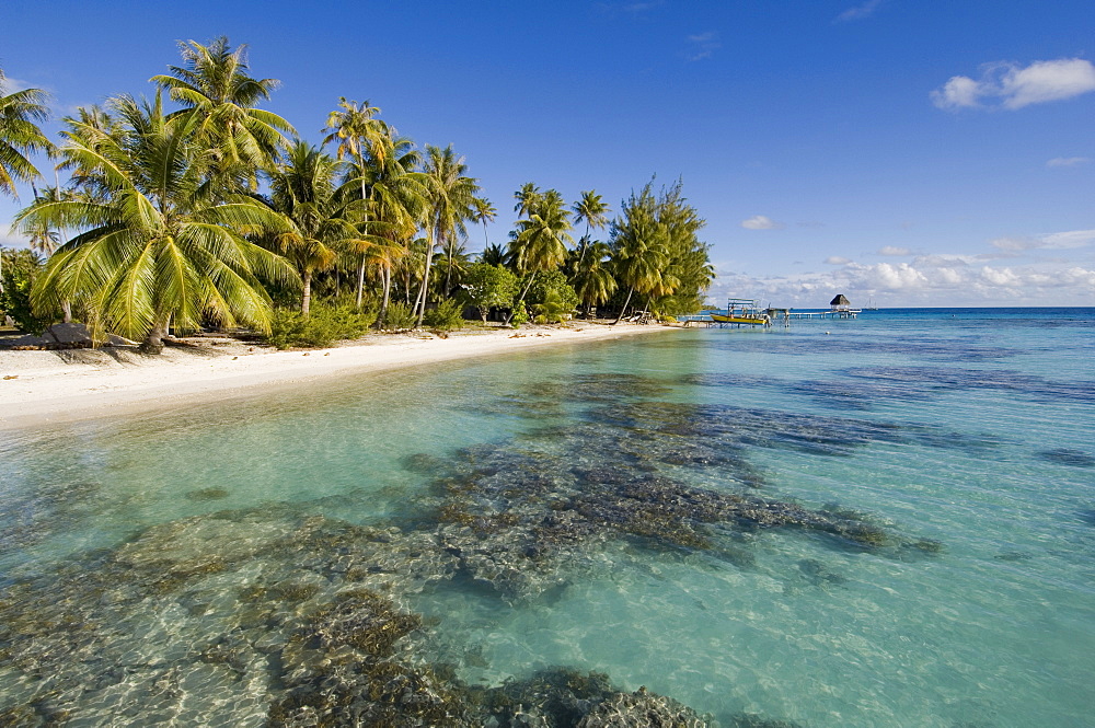 Fakarawa, Tuamotu Archipelago, French Polynesia, Pacific Islands, Pacific