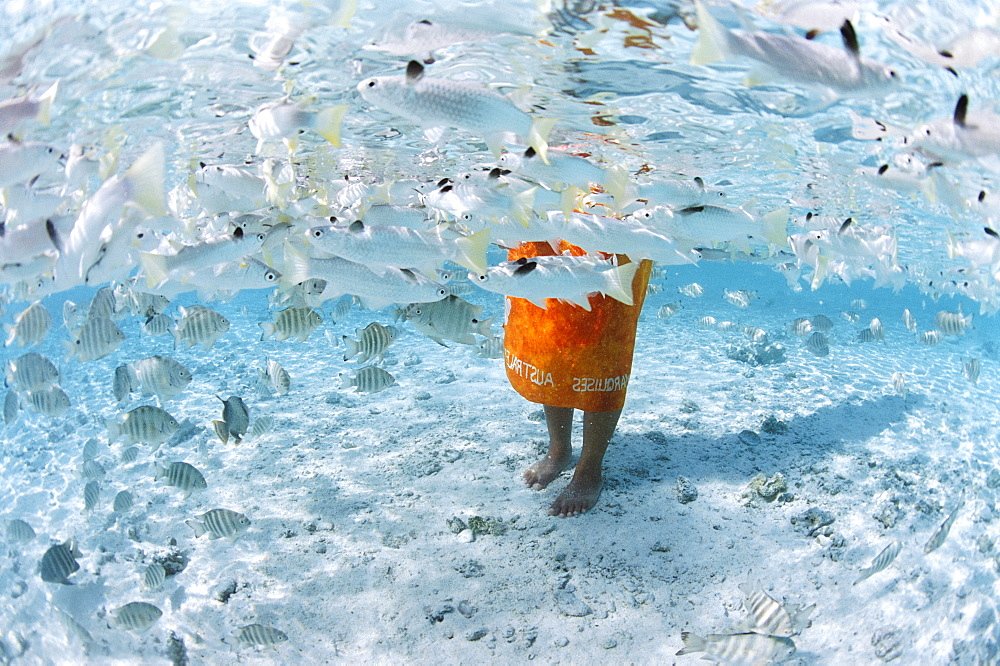 Tikehau, Tuamotu Archipelago, French Polynesia, Pacific Islands, Pacific