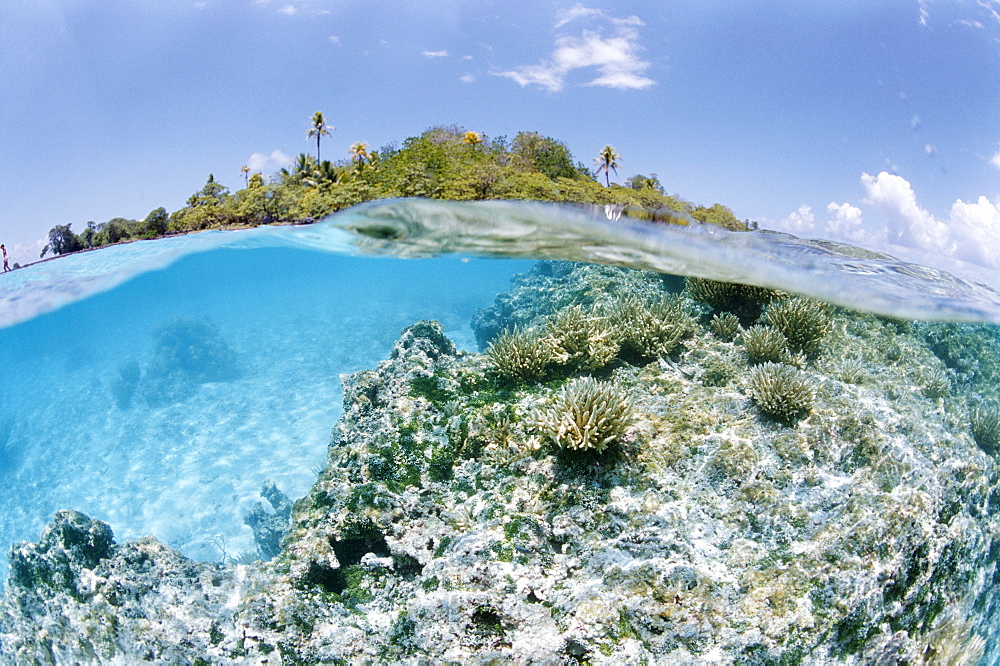 Tikeau, Tuamotu Archipelago, French Polynesia, Pacific Islands, Pacific