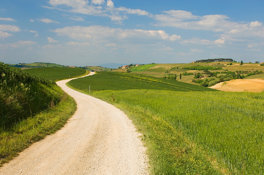 Countryside near Montepulciano, Val d'Orcia, Siena province, Tuscany, Italy, Europe