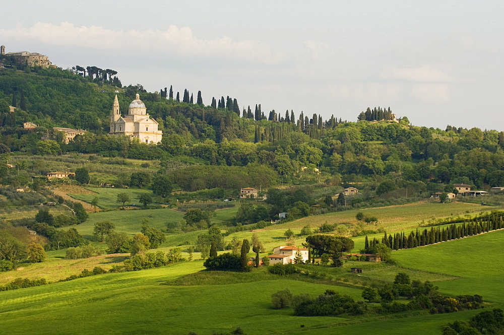 Montepulciano, Val d'Orcia, Siena province, Tuscany, Italy, Europe