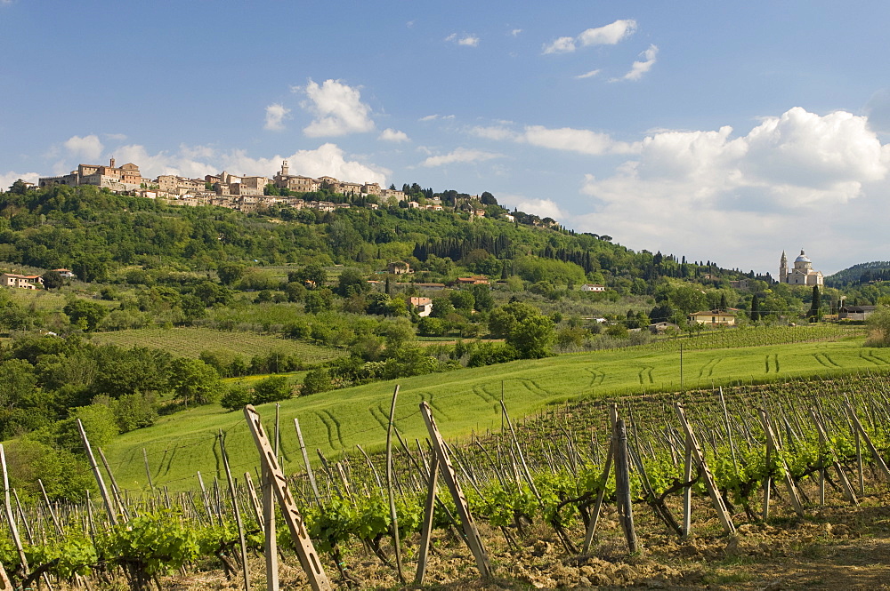 Montepulciano, Val d'Orcia, Siena province, Tuscany, Italy, Europe