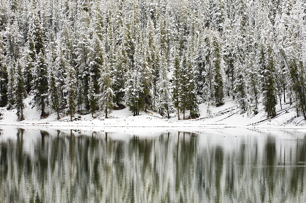 Yellowstone River in winter, Yellowstone National Park, UNESCO World Heritage Site, Wyoming, United States of America, North America