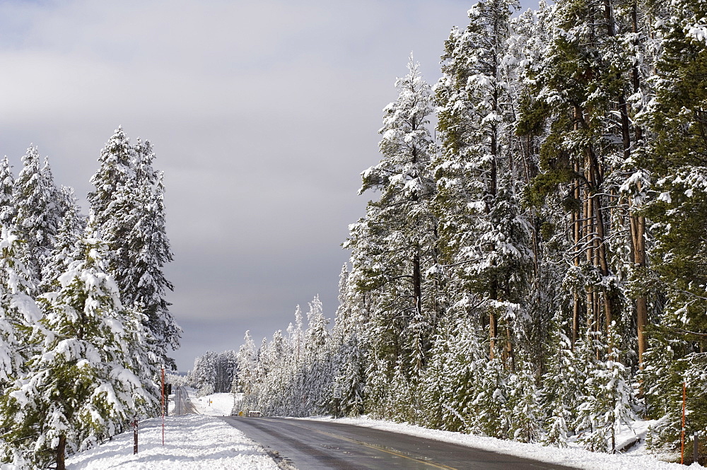 Yellowstone National Park in winter, UNESCO World Heritage Site, Wyoming, United States of America, North America