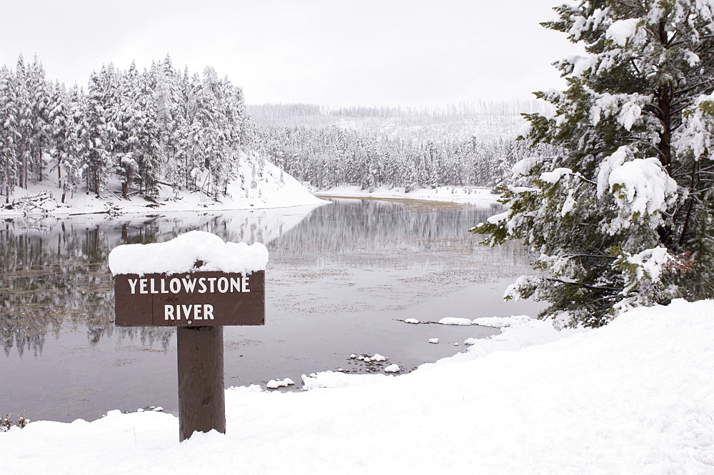 Yellowstone River, Yellowstone National Park, UNESCO World Heritage Site, Wyoming, United States of America, North America