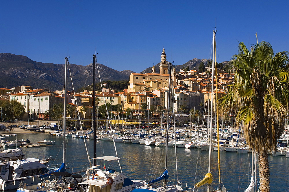 Menton, Alpes-Maritimes, Provence, Cote d'Azur, French Riviera, France, Mediterrranean, Europe