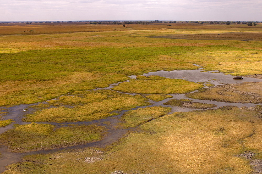 Helicopter flight over Busanga Plains, Kafue National Park, Zambia, Africa