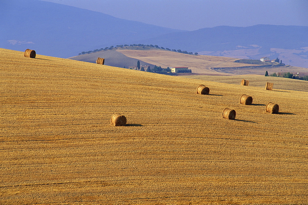 Hay bales, Val d'Orcia, Siena Province, Tuscany, Italy, Europe