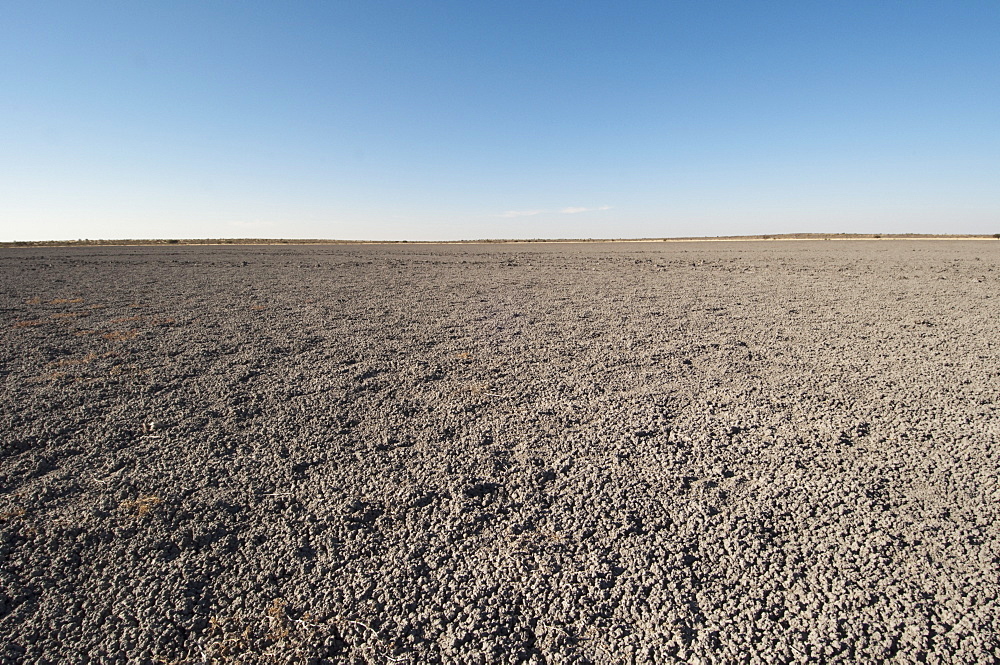 Deception Valley, Central Kalahari Game Reserve, Botswana, Africa