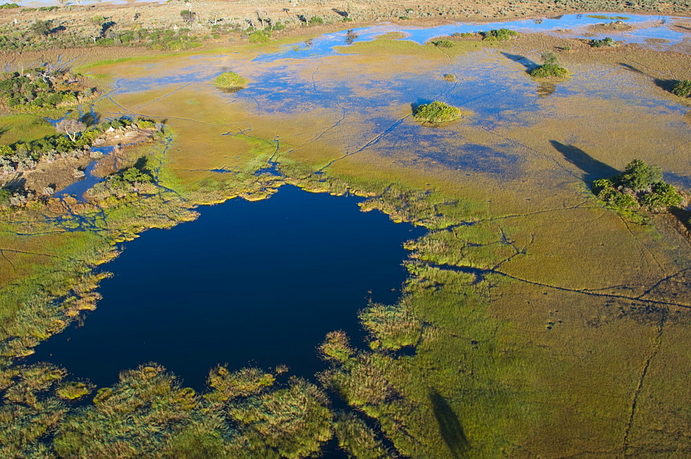 Aerial view of Okavango Delta, Botswana, Africa