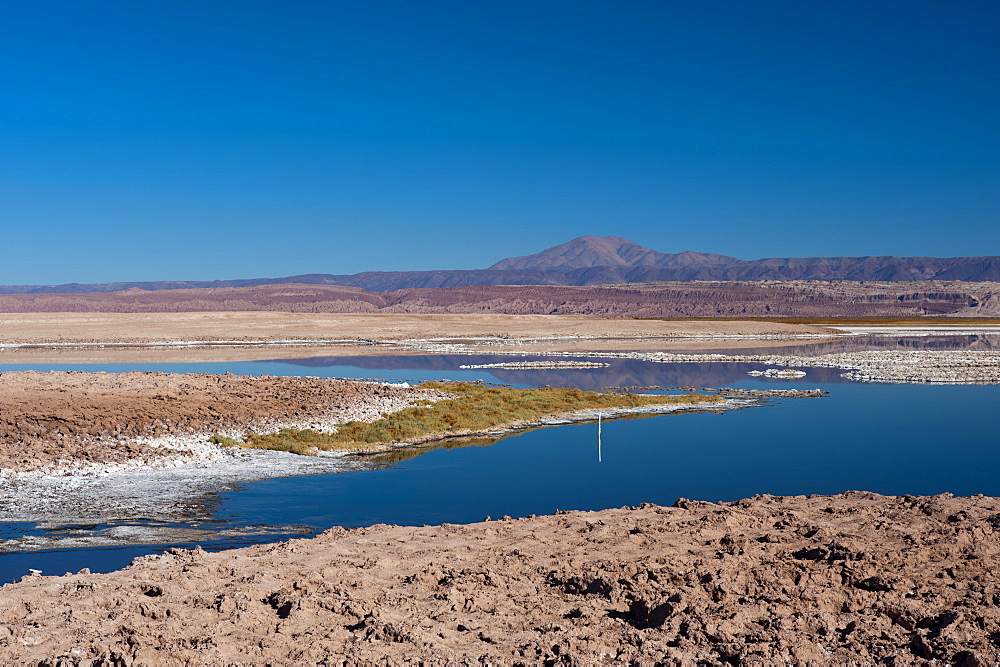 Laguna Tebenquiche, Salar de Atacama, Atacama Desert, Chile, South America