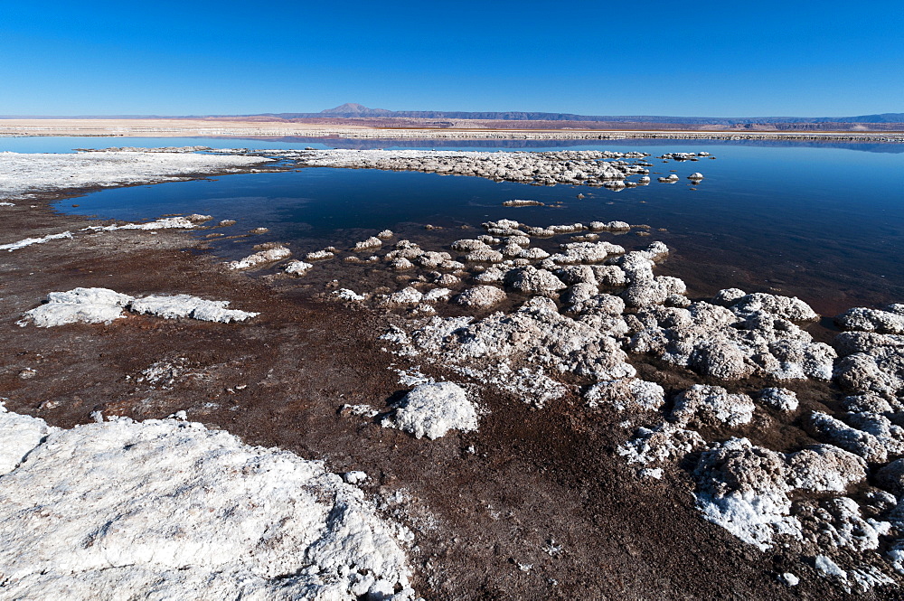 Laguna Tebenquiche, Salar de Atacama, Atacama Desert, Chile, South America