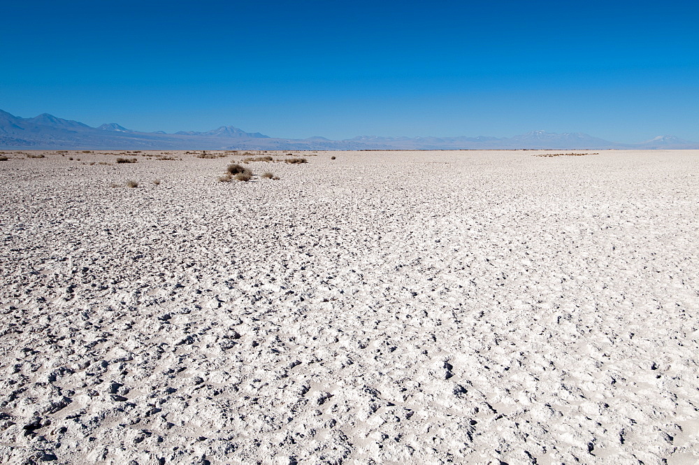 Salt crust, Salar de Atacama, Atacama Desert, Chile, South America