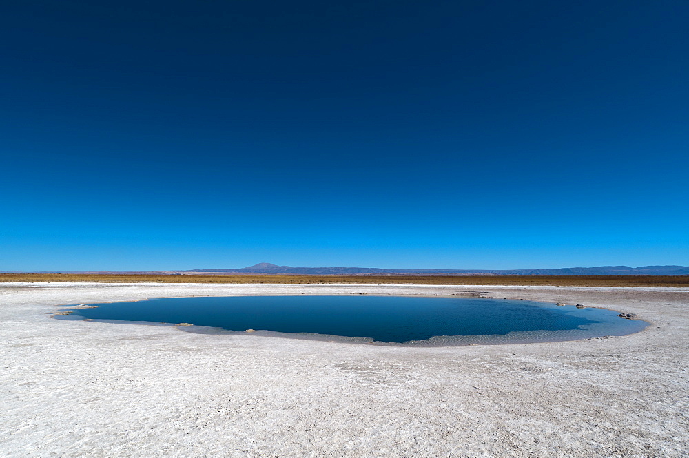 Laguna Sejar, Salar de Atacama, Atacama Desert, Chile, South America