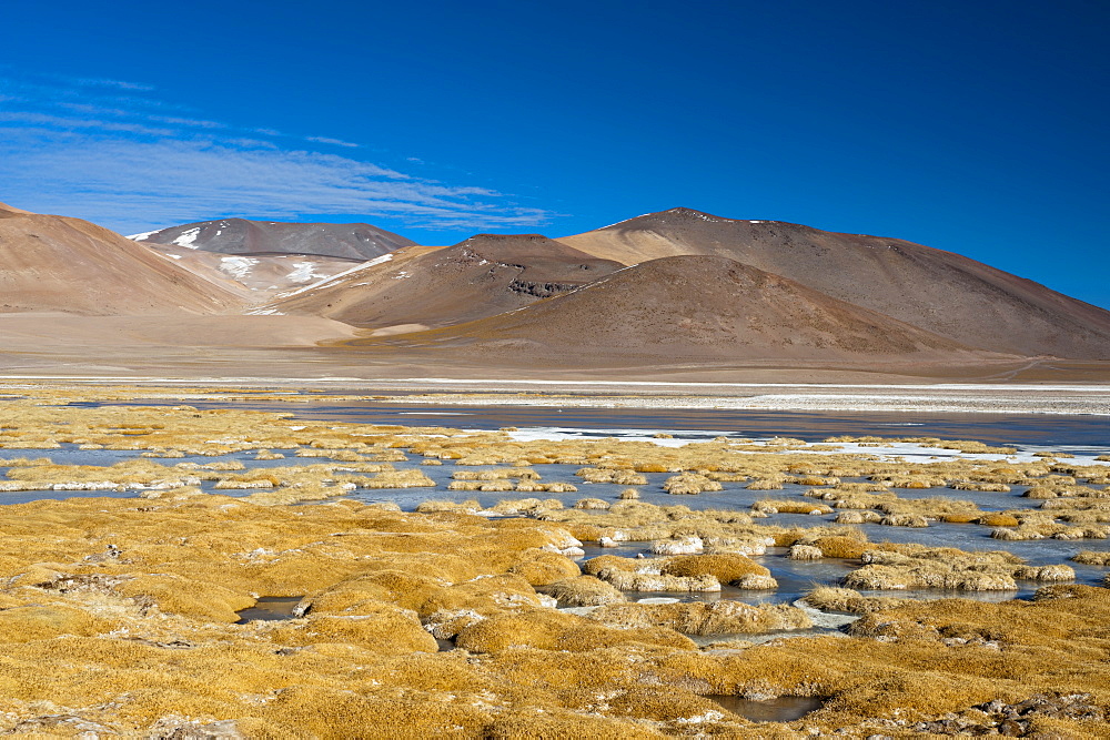 Laguna Tuyajto, Atacama Desert, Chile, South America