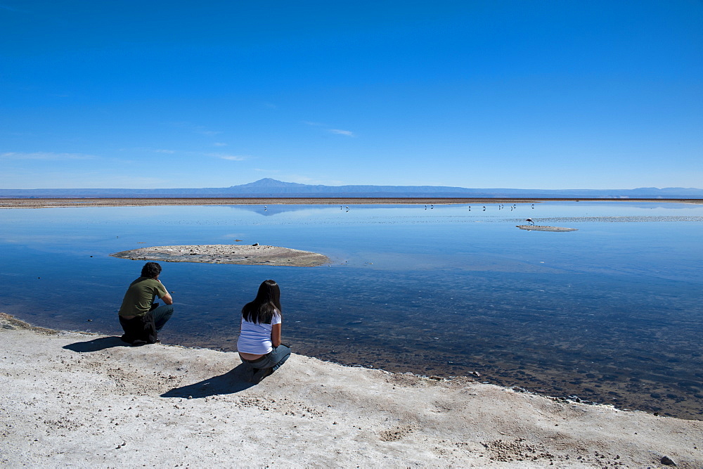 Tourists at Laguna Chaxa, Salar de Atacama, Atacama Desert, Chile, South America