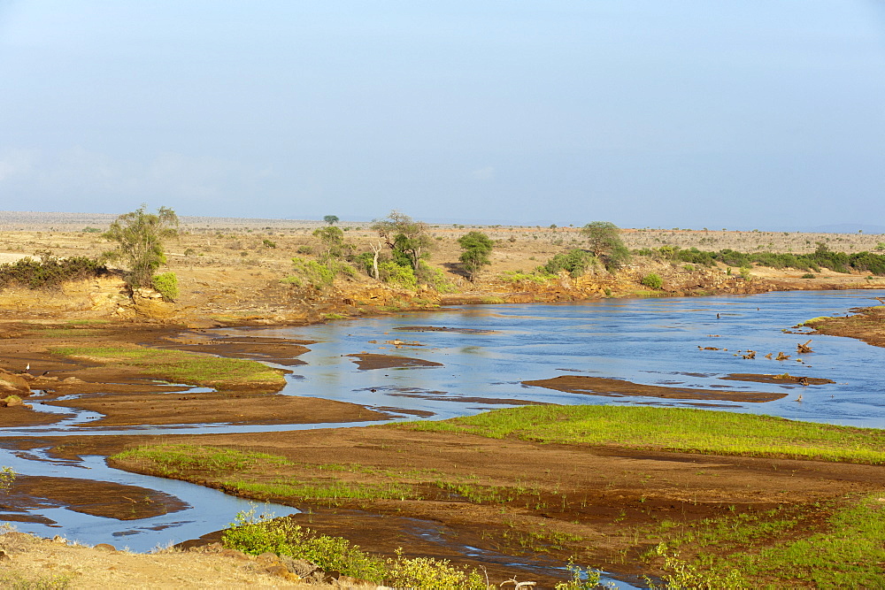 Tsavo River, Tsavo East National Park, Kenya, East Africa, Africa