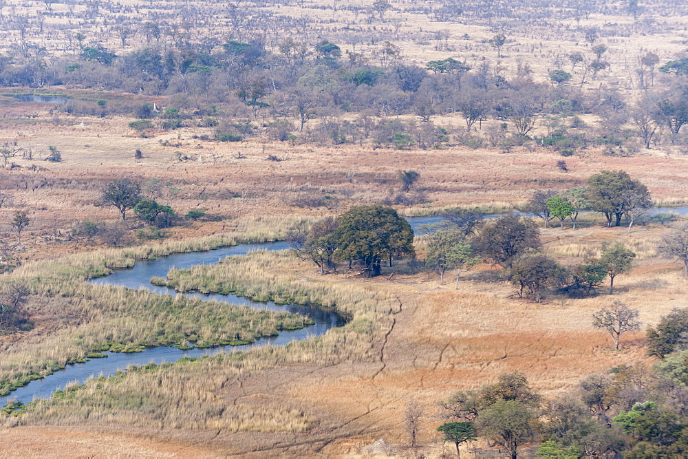 Aerial view of Okavango delta, Botswana, Africa