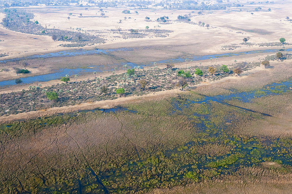 Aerial view of Okavango delta, Botswana, Africa