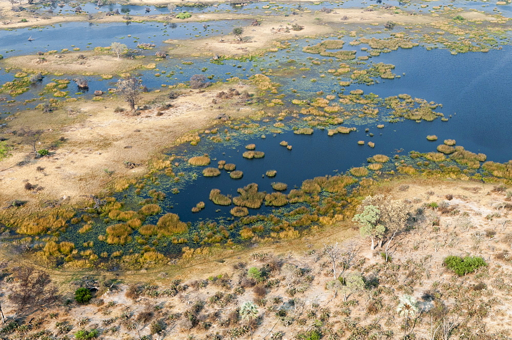 Aerial view of Okavango delta, Botswana, Africa