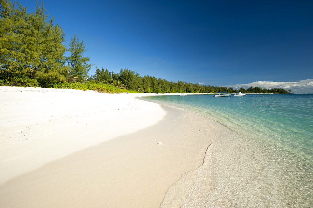 Denis Island, Seychelles, Indian Ocean, Africa