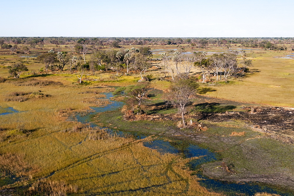 Aerial view of Okavango Delta, Botswana, Africa 