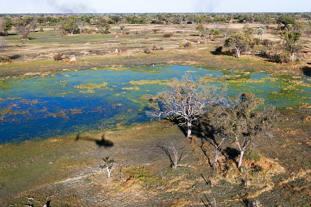 Aerial view of Okavango Delta, Botswana, Africa 