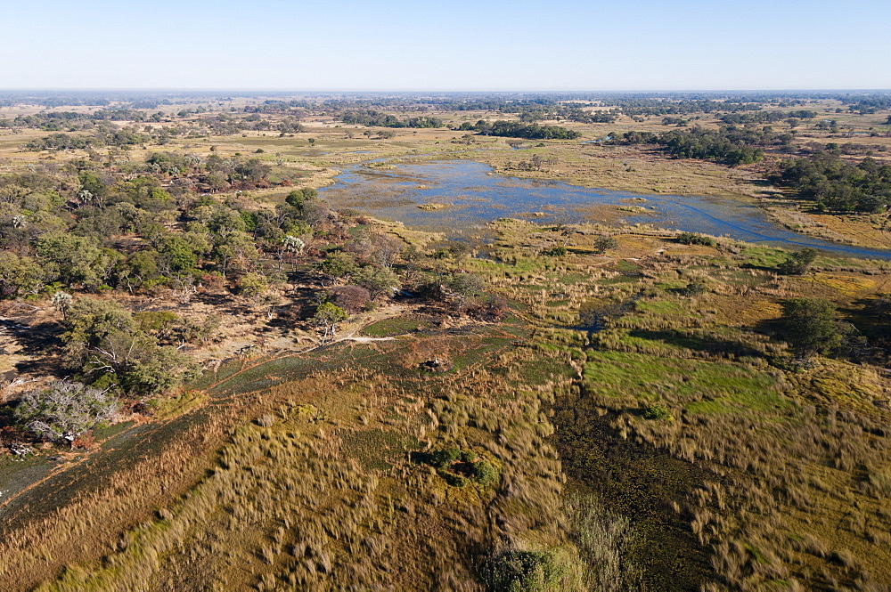 Aerial view of Okavango Delta, Botswana, Africa 