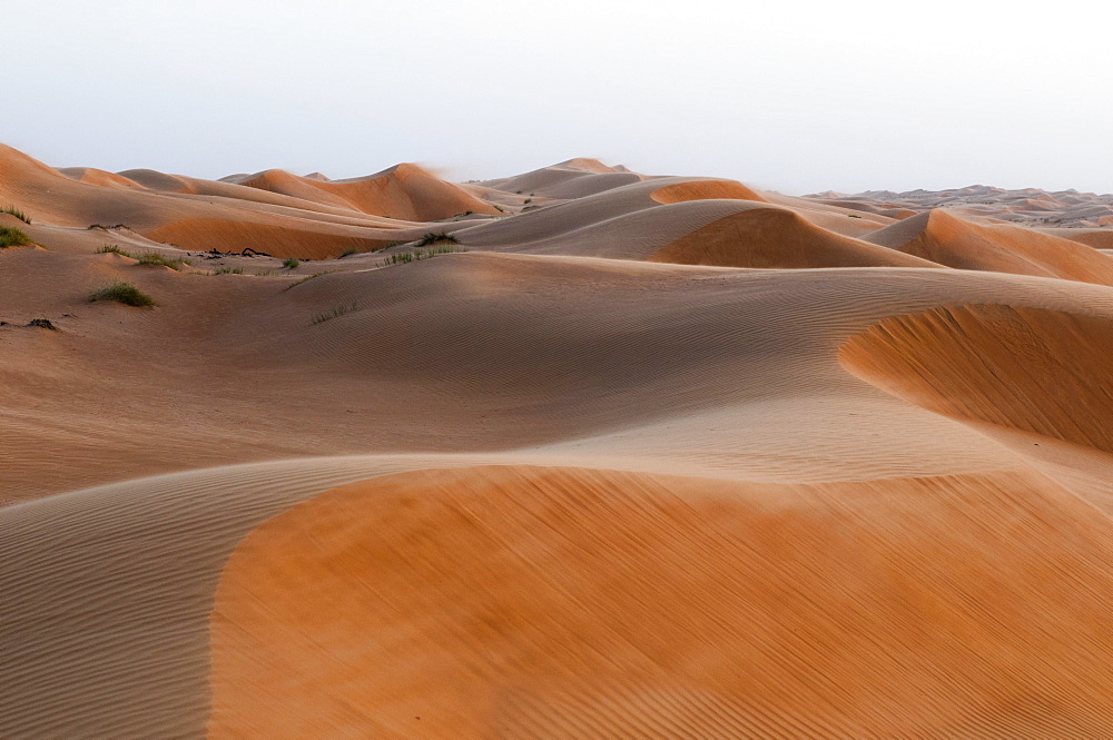 Wahiba Sands desert, Oman, Middle East