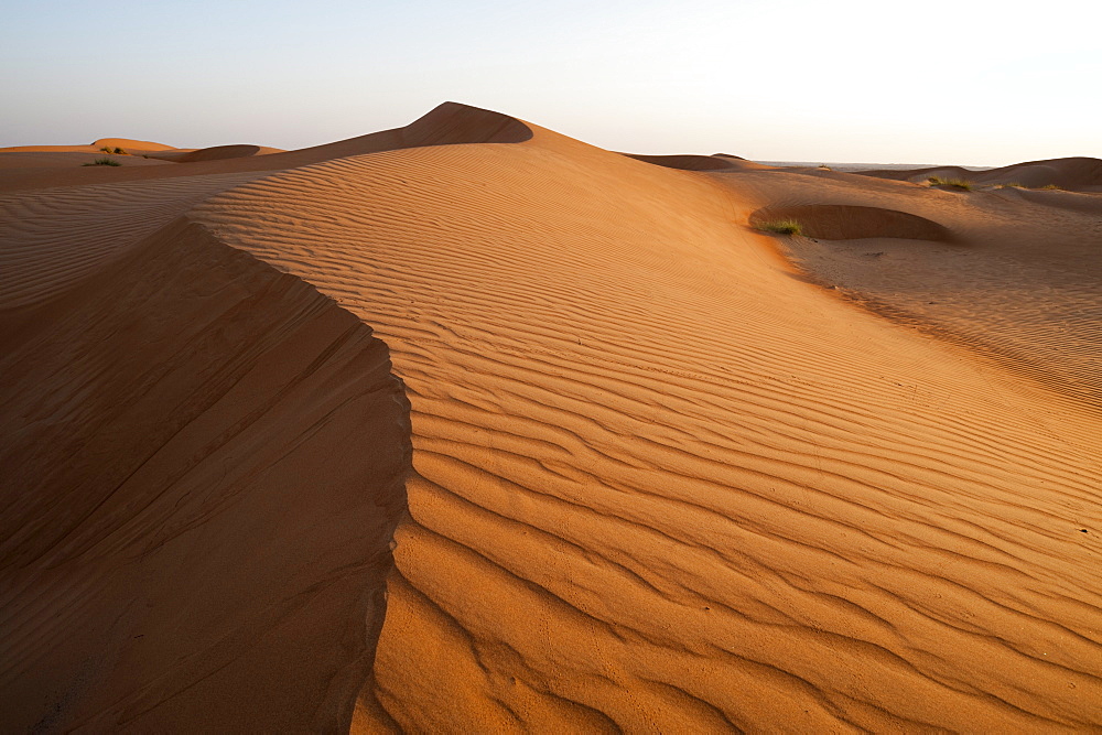 Wahiba Sands desert, Oman, Middle East