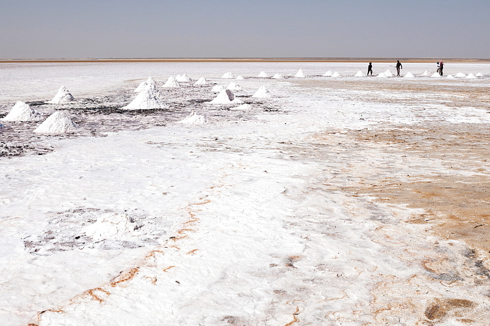 Salt flats near Shannah, Oman, Middle East