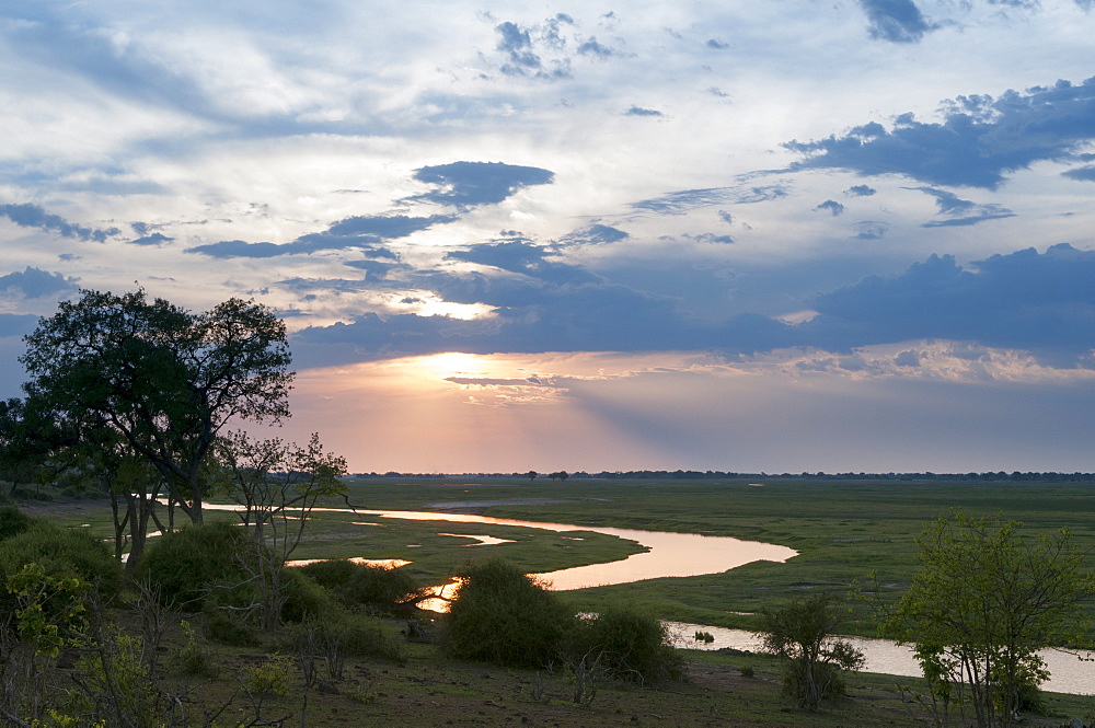 Chobe National Park, Botswana, Africa