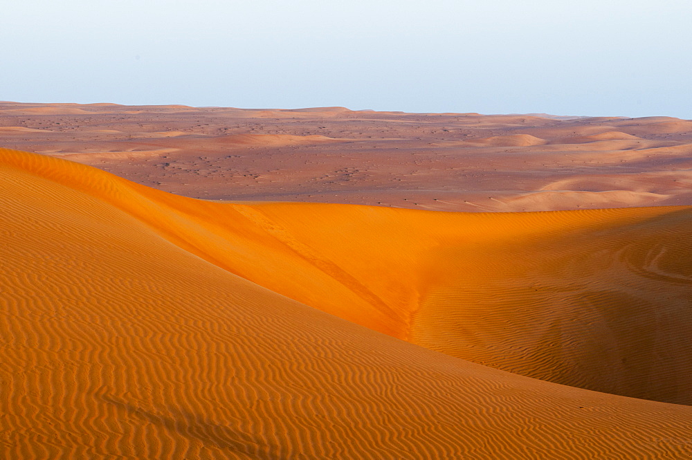 Wahiba Sands desert, Oman, Middle East