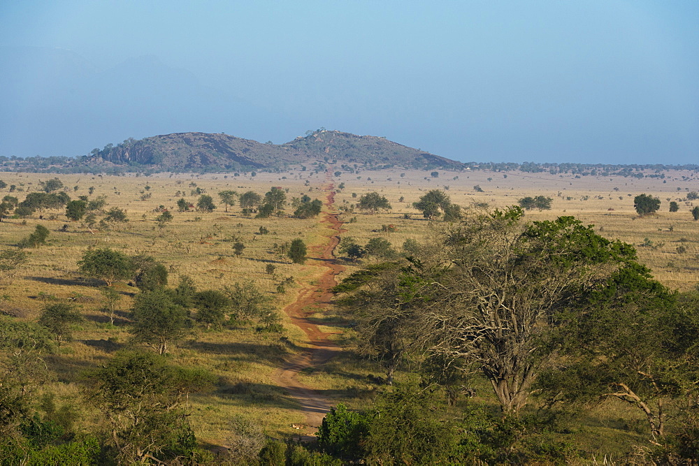 A view of the Lion Rock in Lualenyi Game Reserve, Tsavo, Kenya, East Africa, Africa