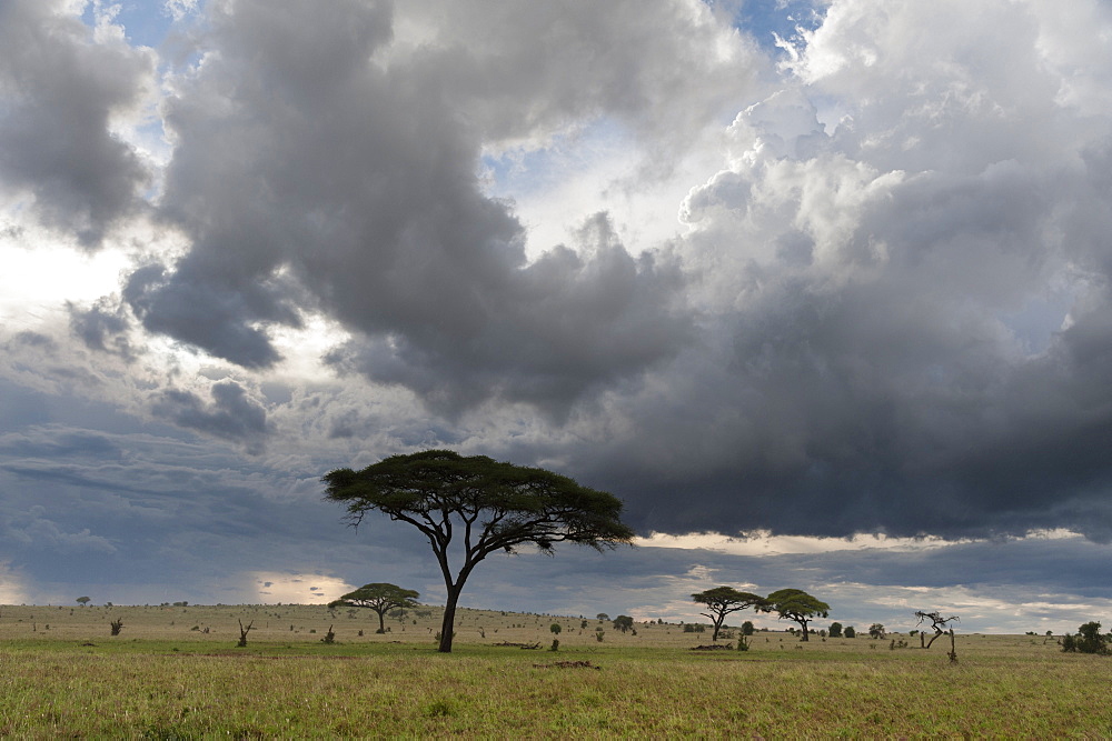 A cloudy sky over the plains of Tsavo, Kenya, East Africa, Africa