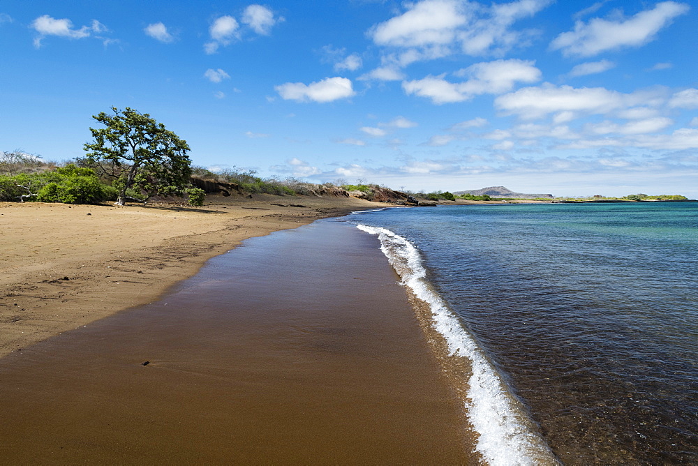 Floreana Island, Galapagos Islands, UNESCO World Heritage Site, Ecuador, South America