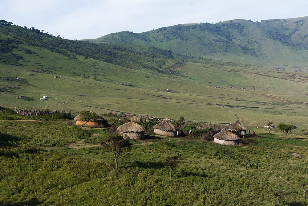 A Masai village in the Ngorongoro Conservation Area, Serengeti, Tanzania, East Africa, Africa