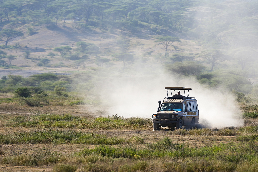 A safari vehicle driving in the Ndutu area, Ndutu, Ngorongoro Conservation Area, Serengeti, Tanzania, East Africa, Africa