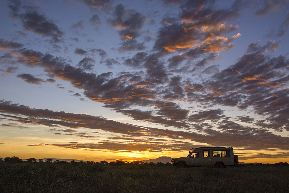 A safari vehicle at sunrise in Ndutu, Serengeti, UNESCO World Heritage Site, Tanzania, East Africa, Africa