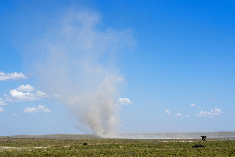 Dust devil, Ndutu, Serengeti, UNESCO World Heritage Site, Tanzania, East Africa, Africa