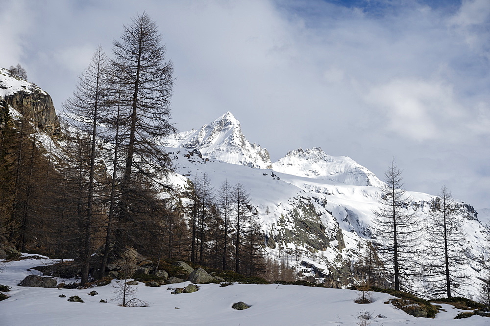 Gran Paradiso National Park, Aosta Valley, Italy, Europe