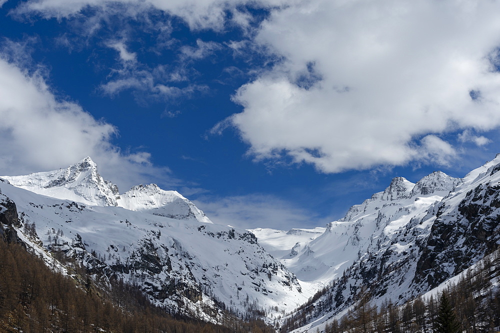 Gran Paradiso National Park, Aosta Valley, Italy, Europe