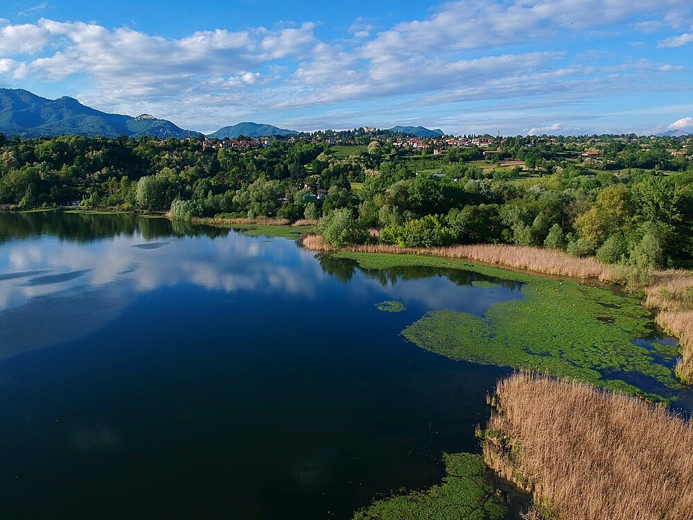 Aerial view of Lake Varese, Varese, Lombardy, Italy, Europe