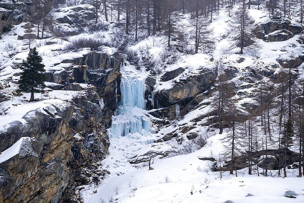 Gran Paradiso National Park, Aosta Valley, Italy, Europe