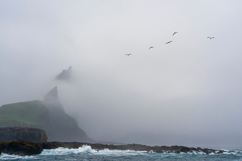 Tindholmur Island, Faroe Islands, Denmark, Europe